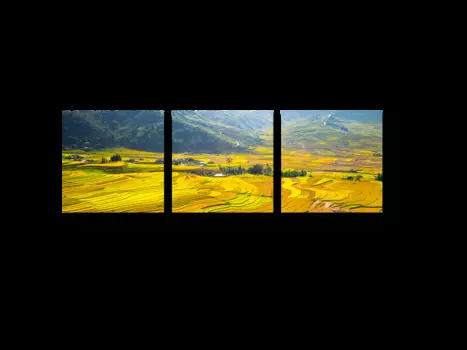 Модульная картина Picsis