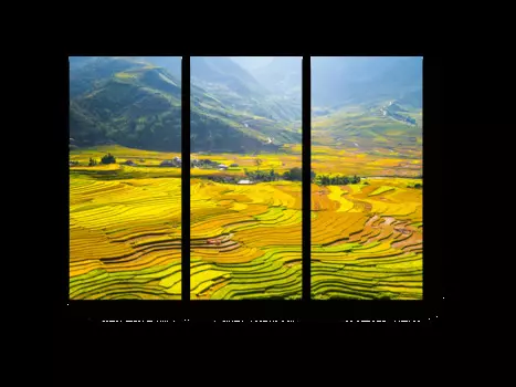 Модульная картина Picsis