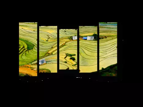 Модульная картина Picsis