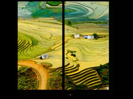 Модульная картина Picsis