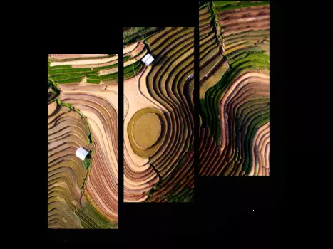 Модульная картина Picsis