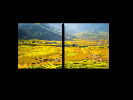 Модульная картина Picsis