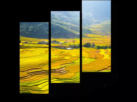 Модульная картина Picsis