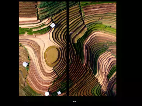 Модульная картина Picsis