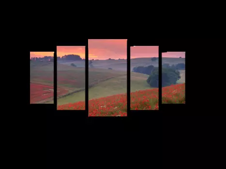 Модульная картина Picsis