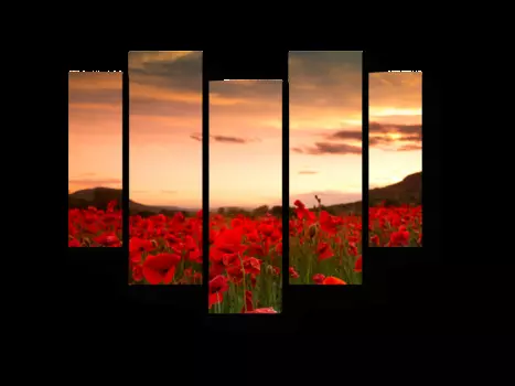 Модульная картина Picsis