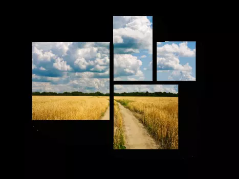 Модульная картина Picsis