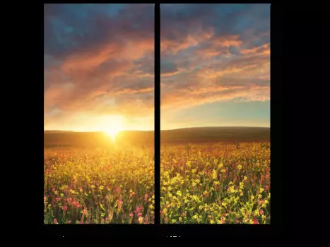 Модульная картина Picsis