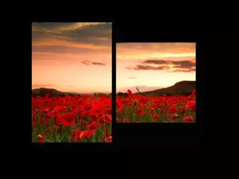 Модульная картина Picsis