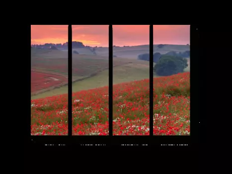 Модульная картина Picsis