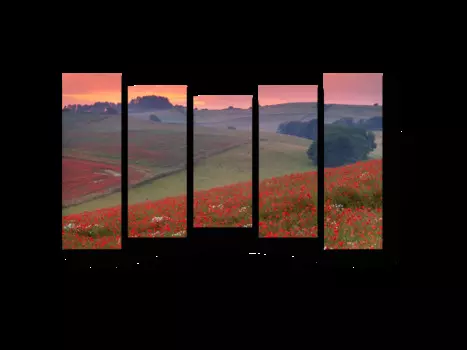 Модульная картина Picsis