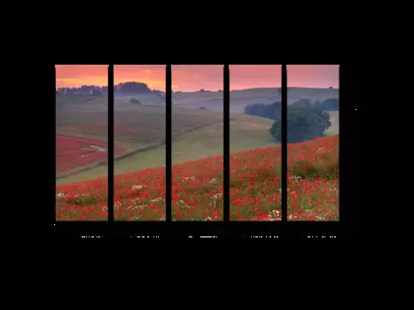 Модульная картина Picsis