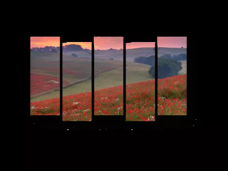 Модульная картина Picsis