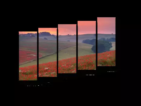 Модульная картина Picsis