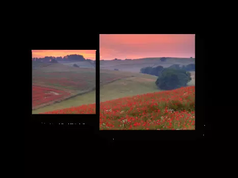 Модульная картина Picsis