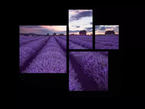 Модульная картина Picsis