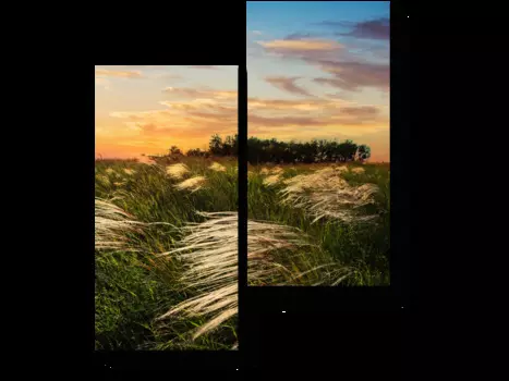 Модульная картина Picsis