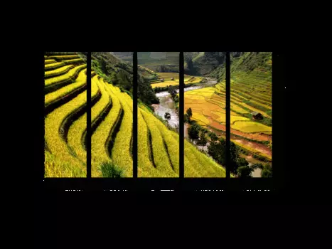 Модульная картина Picsis