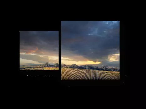 Модульная картина Picsis