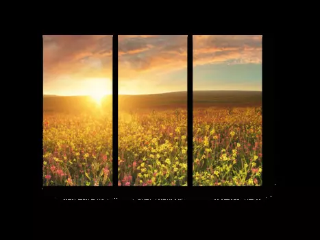 Модульная картина Picsis