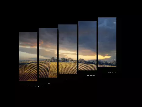 Модульная картина Picsis