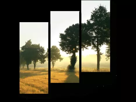 Модульная картина Picsis