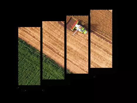 Модульная картина Picsis