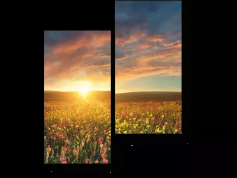 Модульная картина Picsis