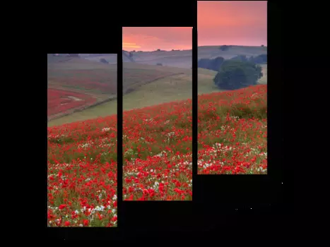 Модульная картина Picsis