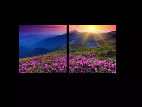 Модульная картина Picsis