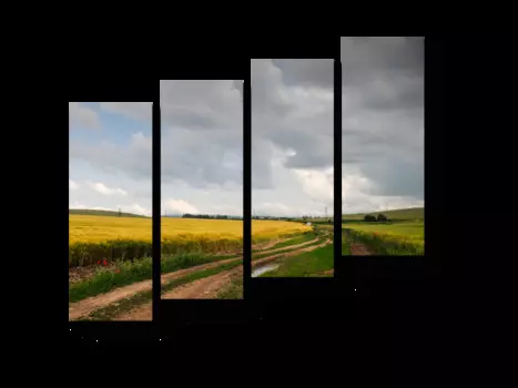 Модульная картина Picsis