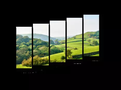 Модульная картина Picsis