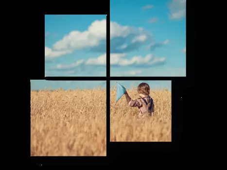 Модульная картина Picsis