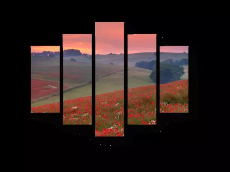 Модульная картина Picsis