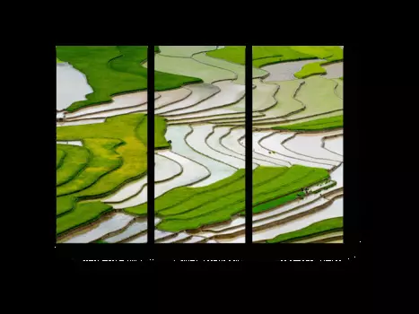 Модульная картина Picsis