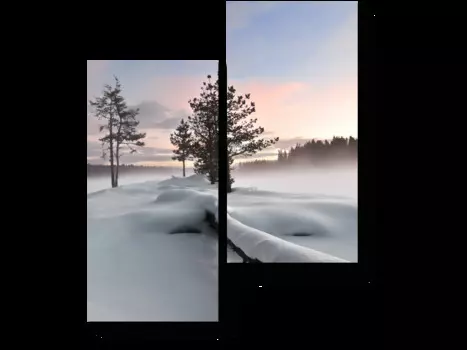 Модульная картина Picsis