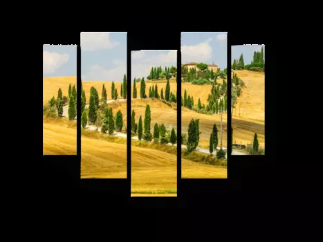 Модульная картина Picsis