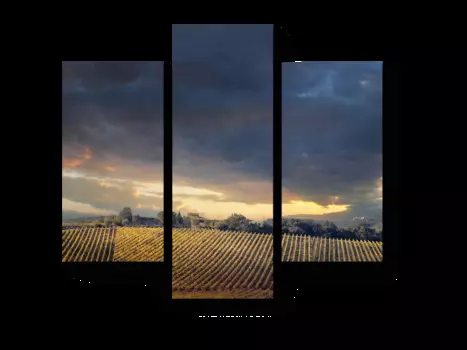 Модульная картина Picsis