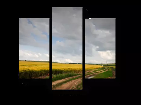 Модульная картина Picsis