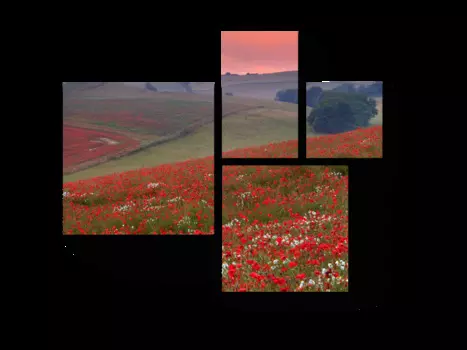 Модульная картина Picsis