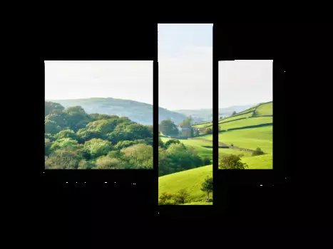 Модульная картина Picsis