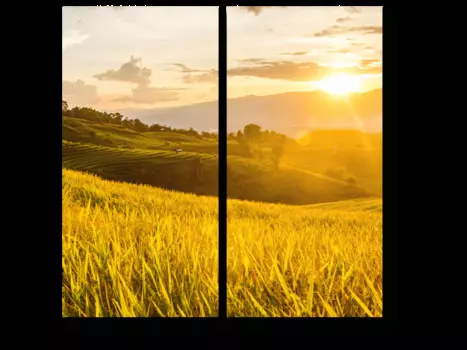 Модульная картина Picsis