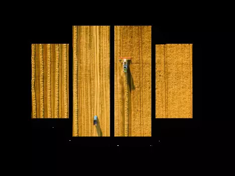 Модульная картина Picsis