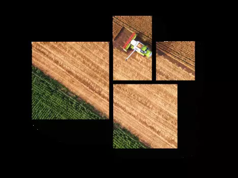 Модульная картина Picsis