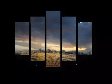 Модульная картина Picsis