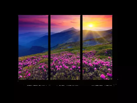 Модульная картина Picsis