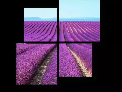 Модульная картина Picsis