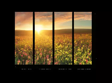 Модульная картина Picsis