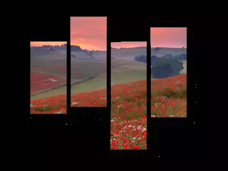 Модульная картина Picsis