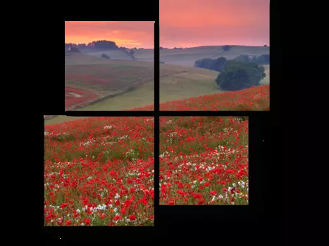 Модульная картина Picsis